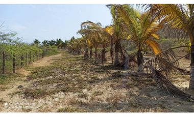 VENDO LOTES DE PLAYA ZORRITOS TUMBES PERU