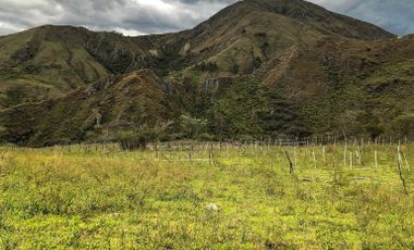 En venta finca de 10 hectareas en vilcabamba