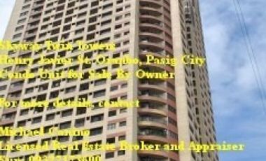 Skyway Twin Towers 1 Bedroom Condominium Unit with Parking i