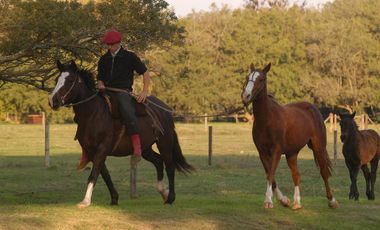 Club de Chacras Estancia Benquerencia - San Miguel del Monte - Buenos Aires Interior