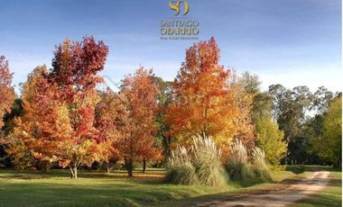 Club de Chacras Estancia Benquerencia - San Miguel del Monte - Buenos Aires Interior