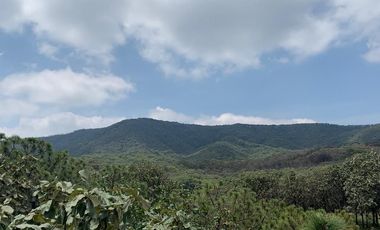 Venta  de Terreno en el Bosque de la Primavera En Jalisco Lote 2