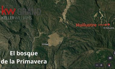 Venta  de Terreno en el Bosque de la Primavera En Jalisco Lote 2