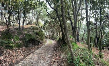 Venta  de Terreno en el Bosque de la Primavera En Jalisco Lote 2