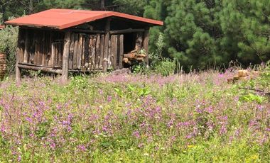 Venta  de Terreno en el Bosque de la Primavera En Jalisco Lote 2