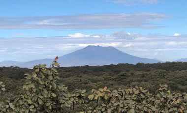 Venta  de Terreno en el Bosque de la Primavera En Jalisco Lote 2
