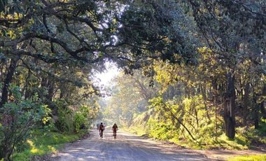 Venta  de Terreno en el Bosque de la Primavera En Jalisco Lote 2