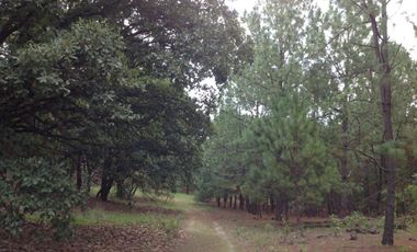 Venta  de Terreno en el Bosque de la Primavera En Jalisco Lote 2