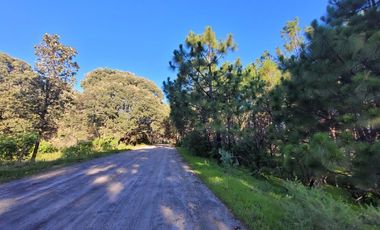 Venta  de Terreno en el Bosque de la Primavera En Jalisco Lote 2