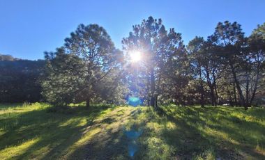 Venta  de Terreno en el Bosque de la Primavera En Jalisco Lote 2