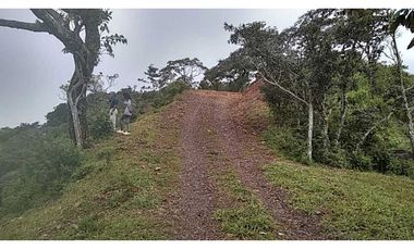 VENDO TERRENO DE 1HECTAREA CON AGUA