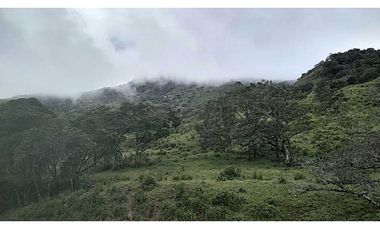 VENDO TERRENO DE 1HECTAREA CON AGUA
