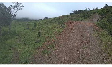 VENDO TERRENO DE 1HECTAREA CON AGUA