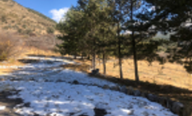 RANCHO EN VENTA EN ARTEAGA, COAHUILA EXCELENTE UBICACION ¡¡¡¡¡
