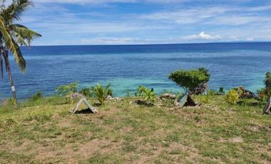 Dalaguete Beach LOT for SALE Dalaguete Cebu