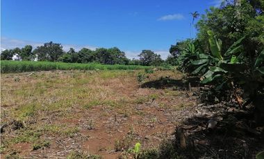 VENDO DOS HECTAREAS - CADA HECTAREA TITULADA ASERRIO DE GARICHE