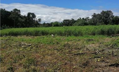 VENDO DOS HECTAREAS - CADA HECTAREA TITULADA ASERRIO DE GARICHE