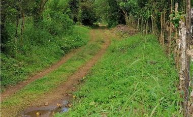 VENDO DOS HECTAREAS - CADA HECTAREA TITULADA ASERRIO DE GARICHE