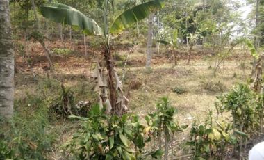 Dijual Cepat Tanah Perumahan 10 Ha Di Soreang Kota Bandung