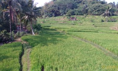 Jual Cepat Tanah Murah 5 Ha Di Cikembar Kota Sukabumi