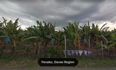 3.5-Hectare Industrial Land in Bunawan-Panabo Boundaryn | IP 003