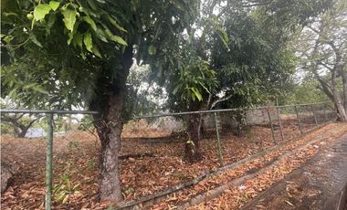 VENTA DE TERRENO SOBRE VA PRINCIPAL EN SAN CARLOS