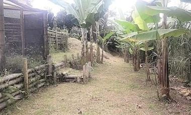 finca en venta en vía altagracia. Cod V1932
