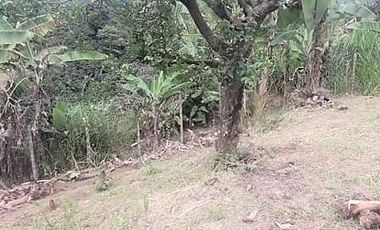 finca en venta en vía altagracia. Cod V1932