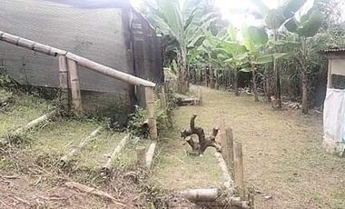 finca en venta en vía altagracia. Cod V1932