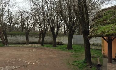 Local - Centro De Lujan