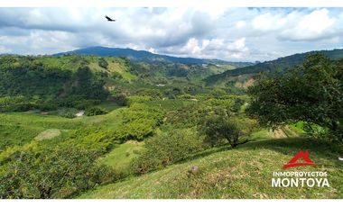 Finca productiva tecnificada exportadora en Santa Rosa de Cabal