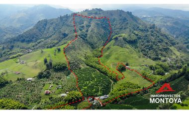 Finca productiva tecnificada exportadora en Santa Rosa de Cabal