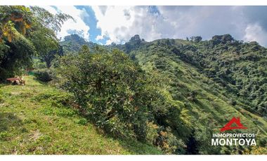 Finca productiva tecnificada exportadora en Santa Rosa de Cabal
