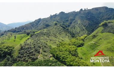 Finca productiva tecnificada exportadora en Santa Rosa de Cabal