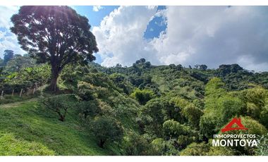 Finca productiva tecnificada exportadora en Santa Rosa de Cabal