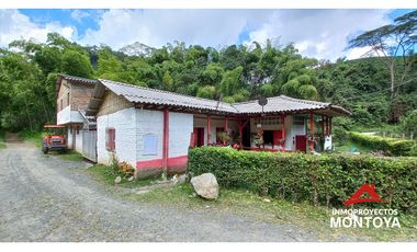 Finca productiva tecnificada exportadora en Santa Rosa de Cabal