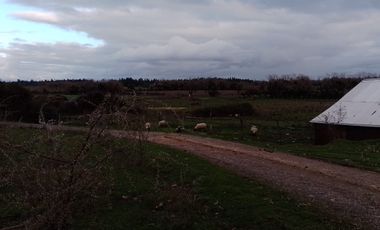 Espectacular Parcela a solo 7 Km de la Plaza de armas