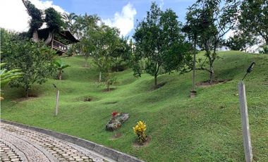 VENTA FINCA, TITIRIBI - SUROESTE  ANTIOQUEÑO