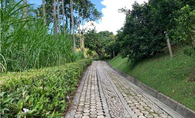 VENTA FINCA, TITIRIBI - SUROESTE  ANTIOQUEÑO