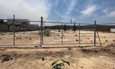 Terreno en renta sobre Av. Vallarta