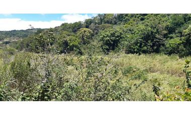 Terreno venta en Gualaca