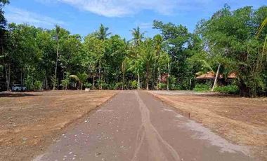 Tanah Purworejo Timur SMP 26 Popongan, SHM Ready