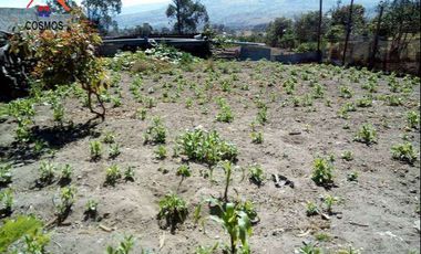 Casa de venta en Cotacachi sector Cuicocha Centro