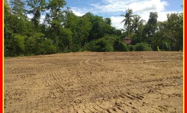 Kavling Dekat Pasar Kedungsukun, Legalitas SHM: 60 Jt-an