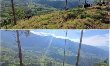 finca en venta en sin barrio. Cod V9394334