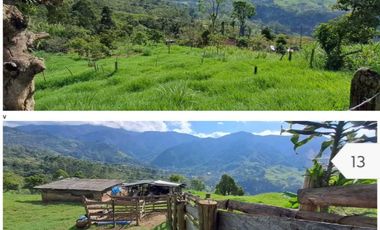 finca en venta en sin barrio. Cod V9394334