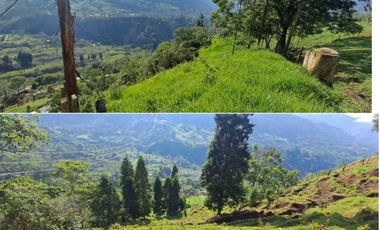 finca en venta en sin barrio. Cod V9394334