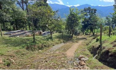 finca en venta en sin barrio. Cod V9394334