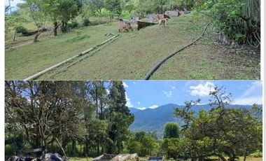 finca en venta en sin barrio. Cod V9394334