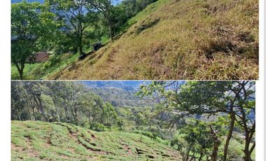 finca en venta en sin barrio. Cod V9394334